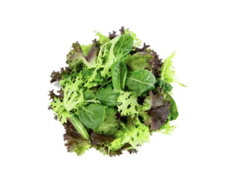 Variety of colorful lettuce leaves