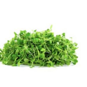 Hartville Hydroponics.