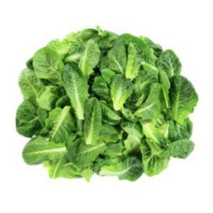 Hartville Hydroponics