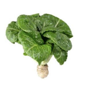 Hartville Hydroponics.