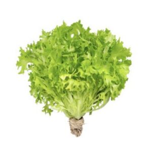 Hartville Hydroponics.