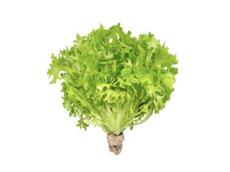 Hartville Hydroponics.