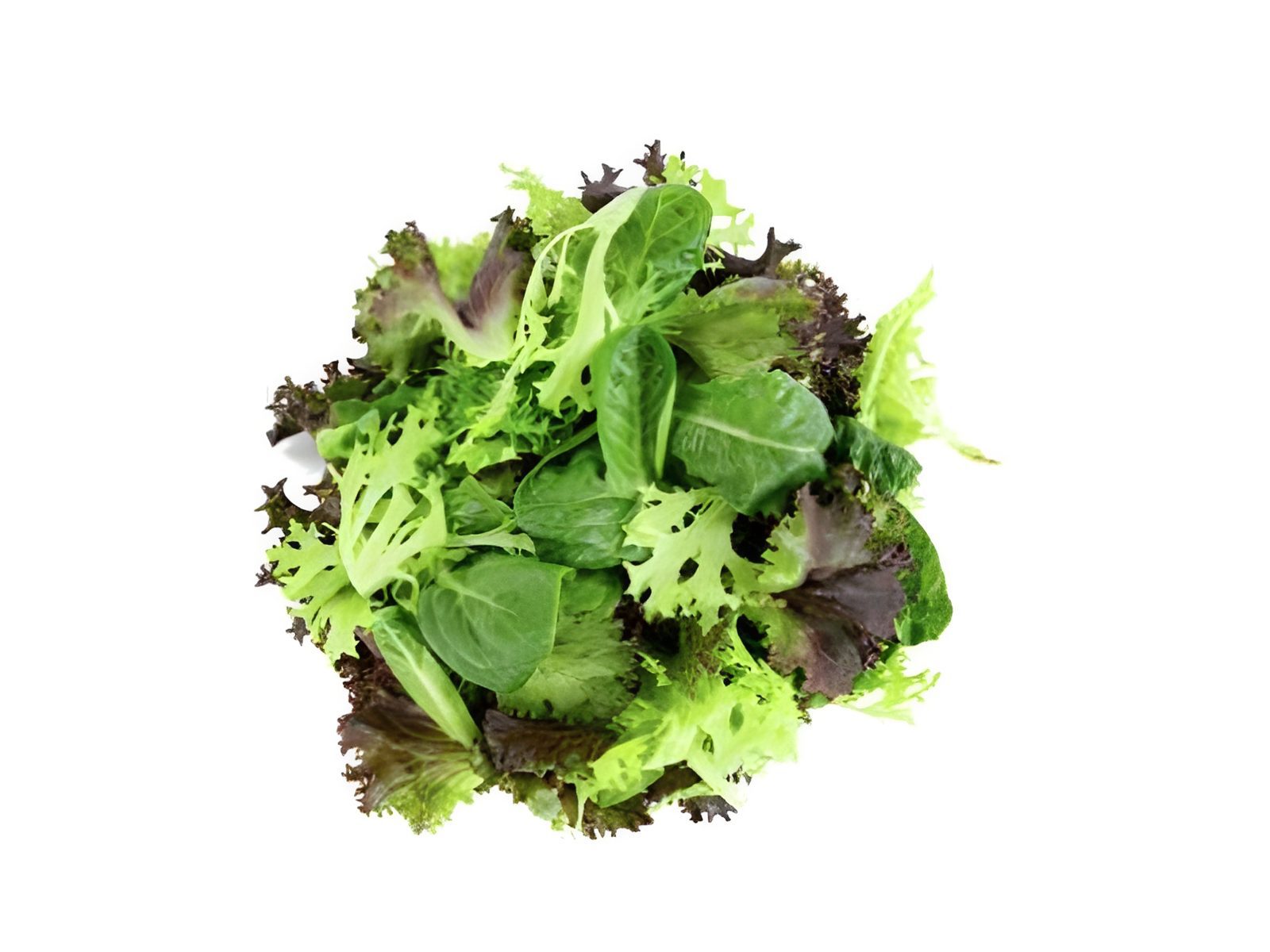 Mixed leafy greens on white background