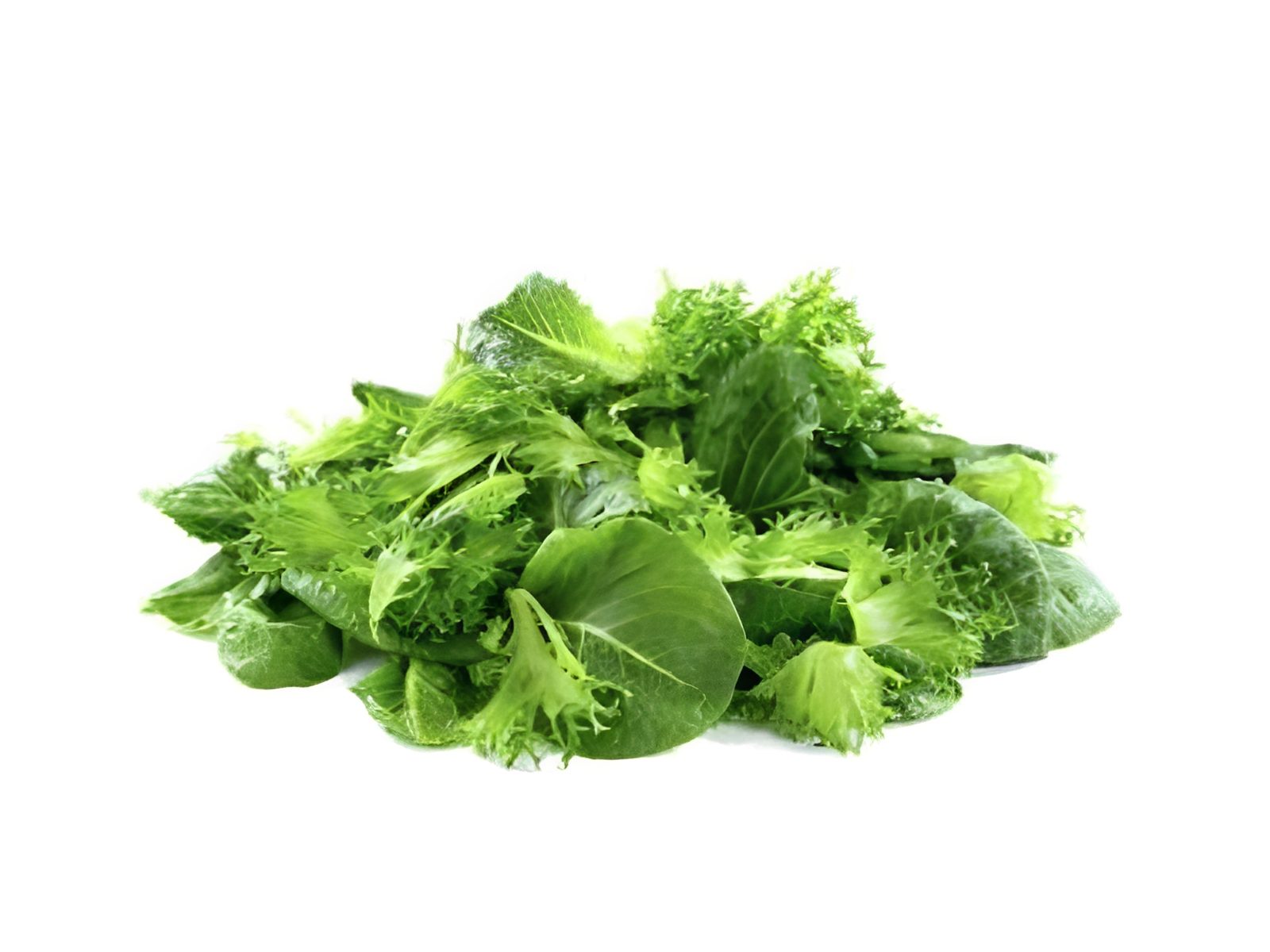 Assortment of salad greens