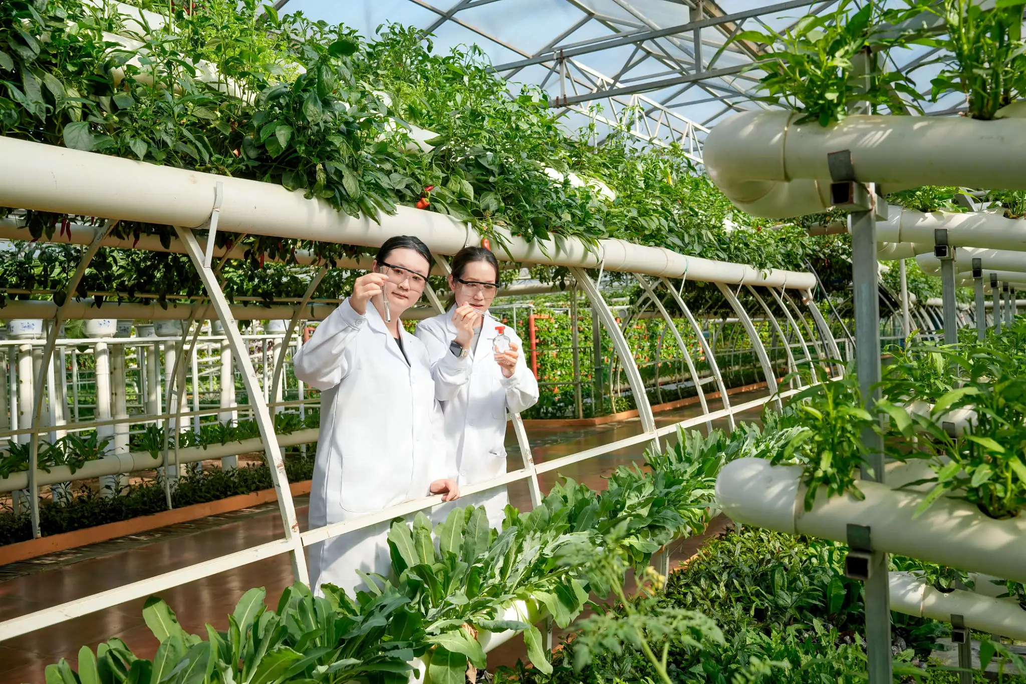 Hartville Hydroponics