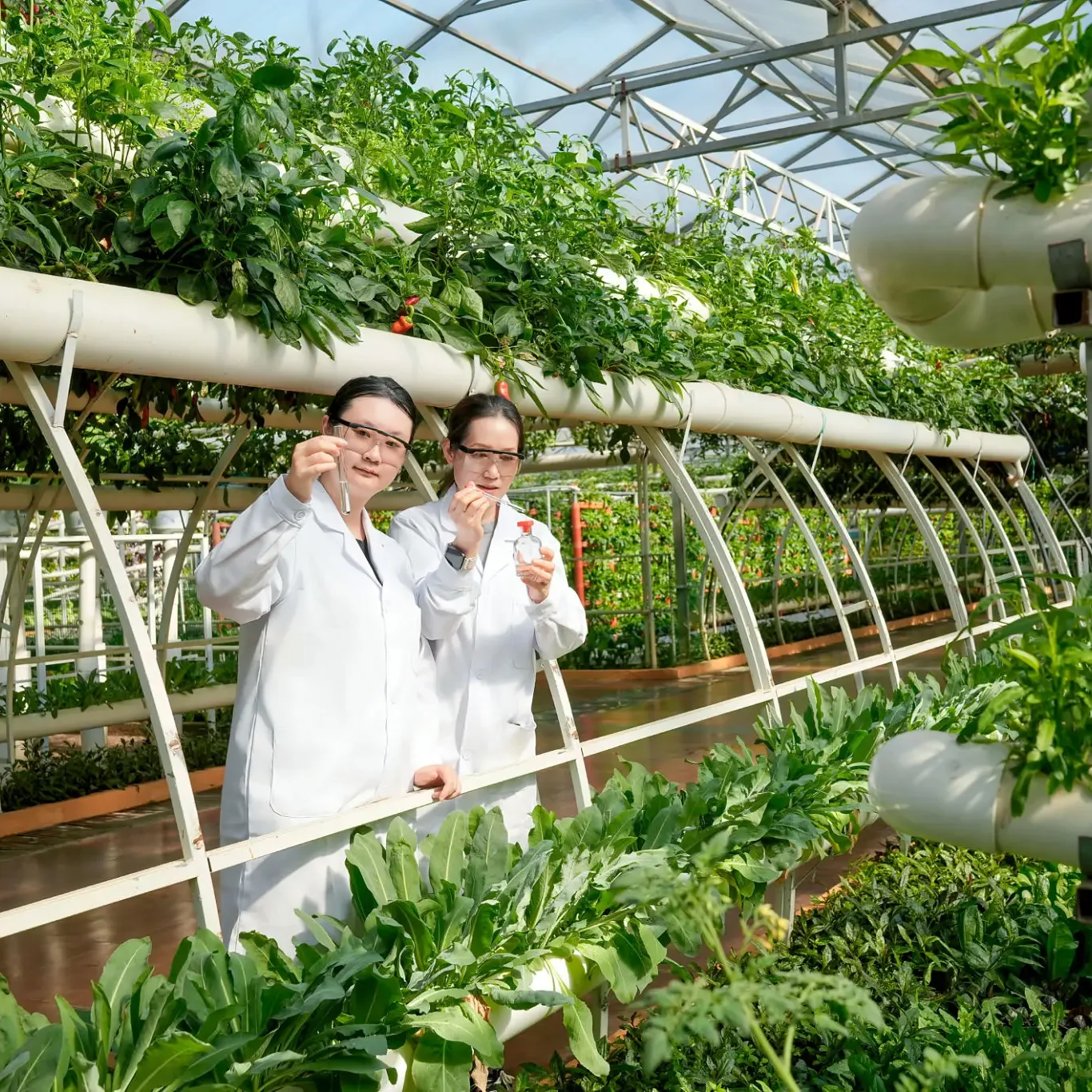 Hartville Hydroponics